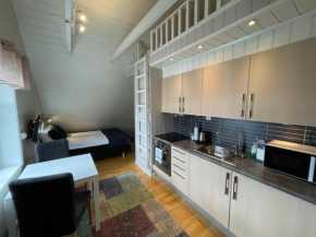Novatind - Studio apartment with free parking Narvik